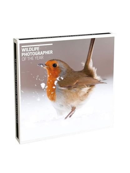 Museums & Galleries - Robin And Hare 12 Pkt - Christmas Boxed Cards
