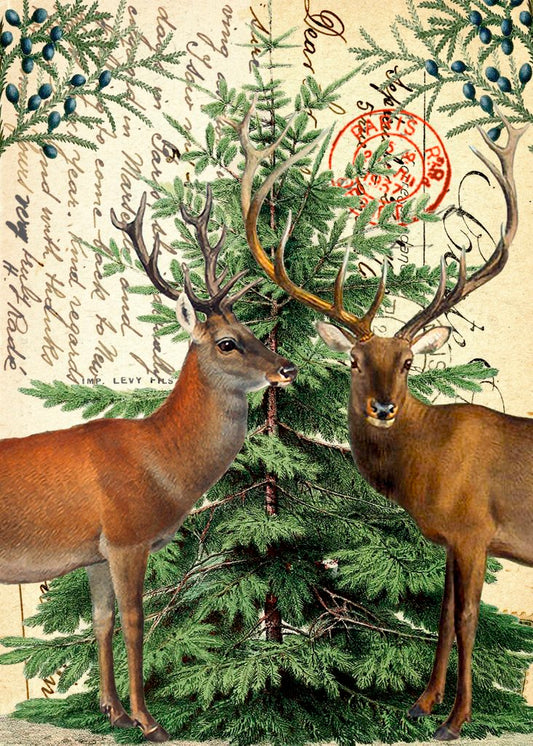 Madame Treacle - Stags & Christmas Tree - Christmas Card