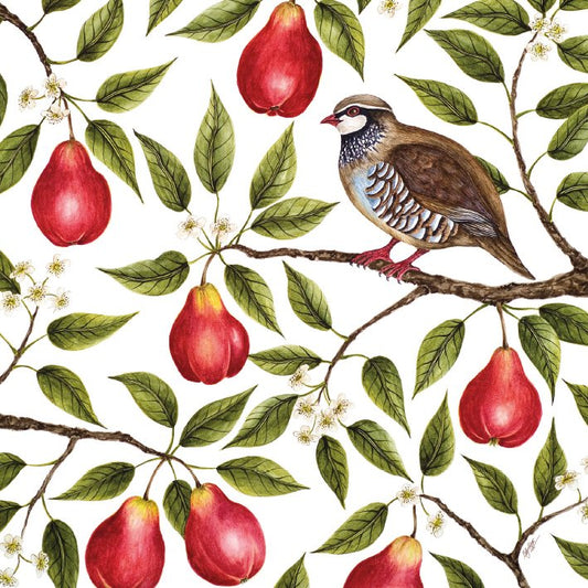 Museums & Galleries - Partridge in a Pear Tree - Christmas Card