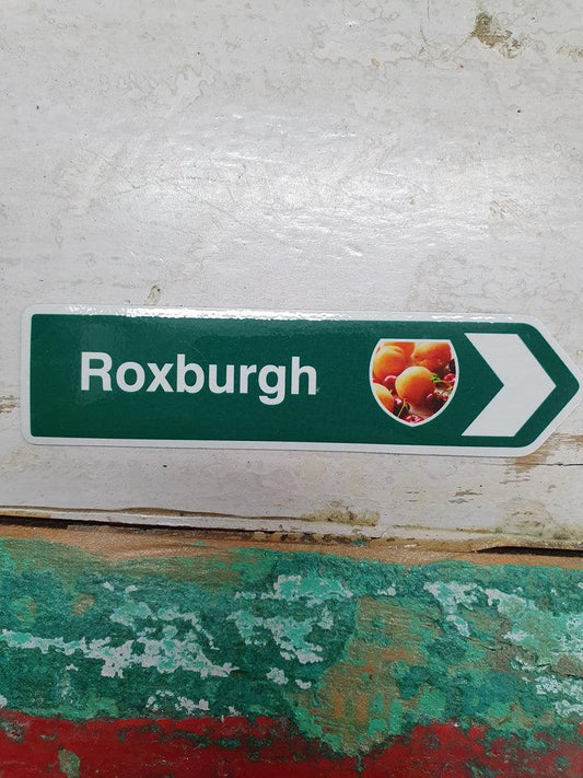 Magnet Road Signs - Roxburgh
