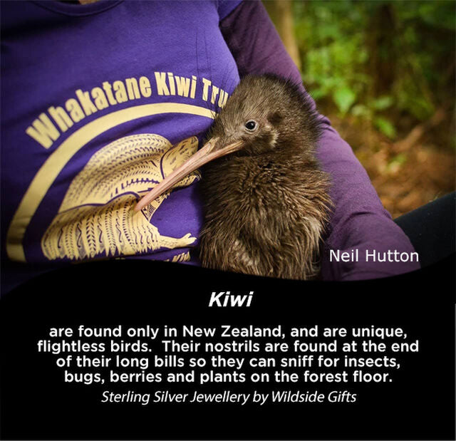Kiwi Silver Pendant