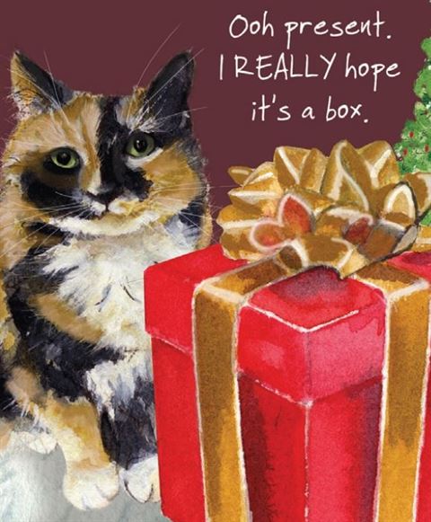 Little Dog Laughed - Present Box - Mini Xmas Card